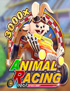 แทงบอล 1x2 คืออะไร เทคนิคและแนวทางการเล่น