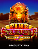 wm555 ทดลอง เล่น สูตรเด็ดที่ไม่ควรพลาด