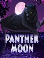 แทง บอล 168เกมส์ สล็อต ได้ ตังค์ หนทางสู่โชคใหญ่