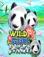 แนะนำ drive slot เกมสนุกที่จะพาคุณรวย